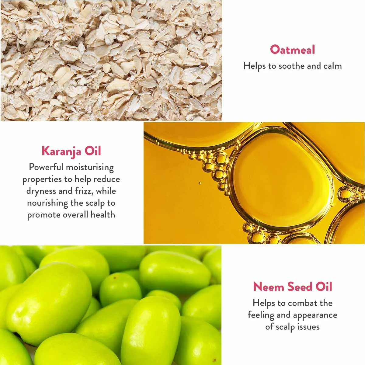 Calming Shampoo Bar for Dry, Itchy, Flaky Scalps: Heali Kiwi™